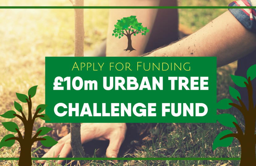 Urban Tree Challenge Fund