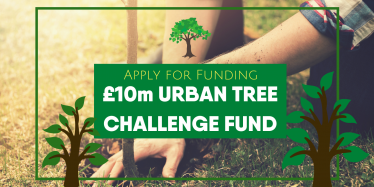 Urban Tree Challenge Fund